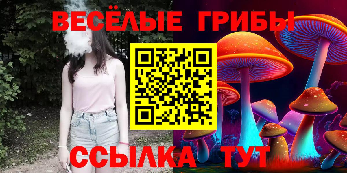 Галлюциногенные грибы Magic Shrooms  Псилоцибиновые грибы Psilocybine cubensis  Кострома  Вход с VPN 